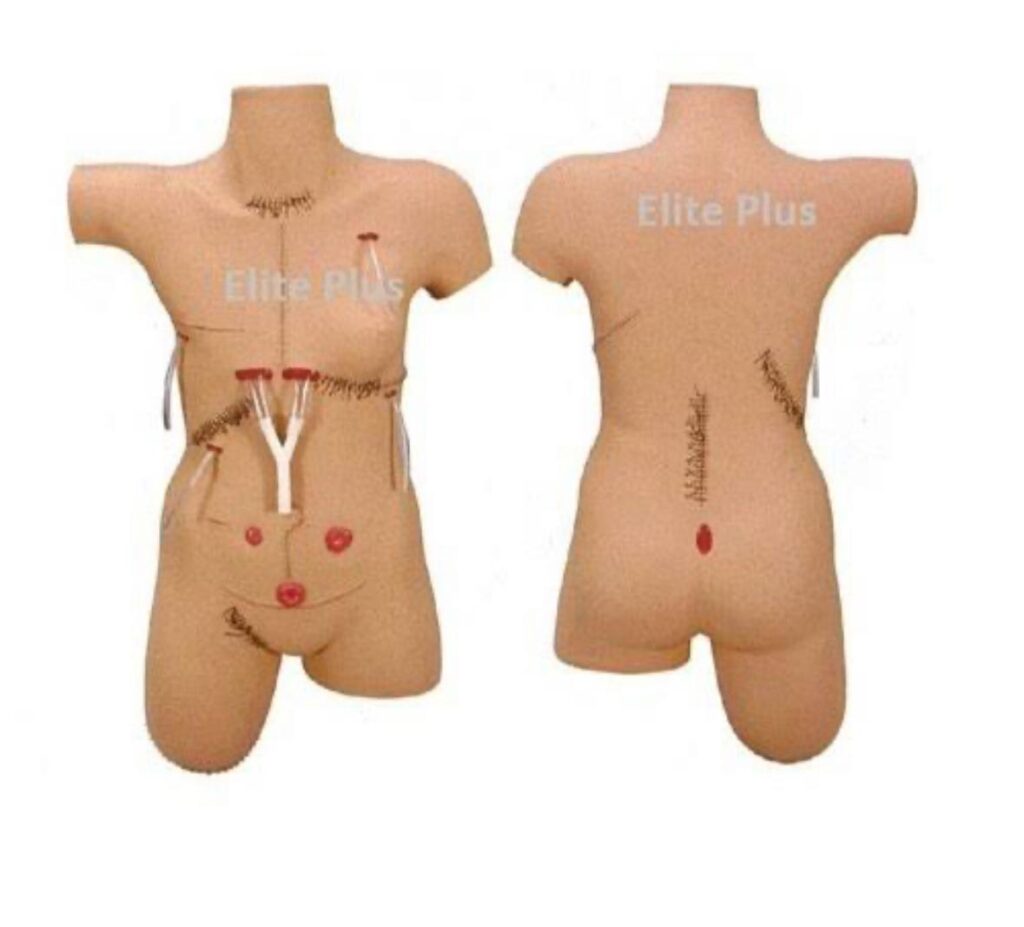 PVC Surgical Simulator supplies by the chahaman enterprises
